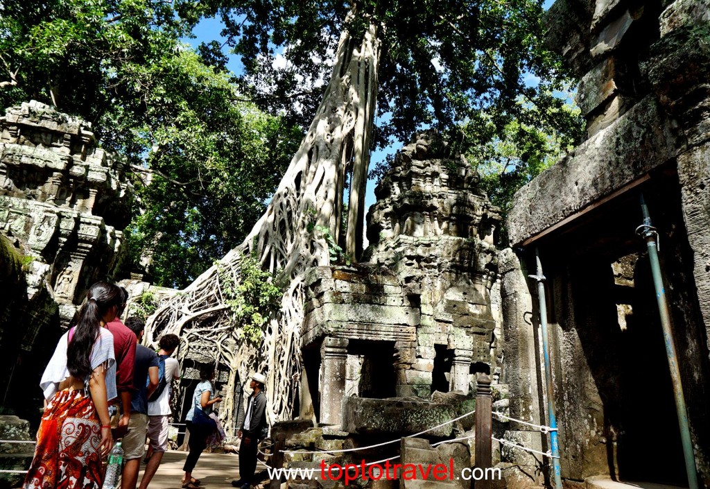 Ta Prohm@SiemReap20150701_084