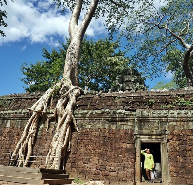ตาพรหม-6